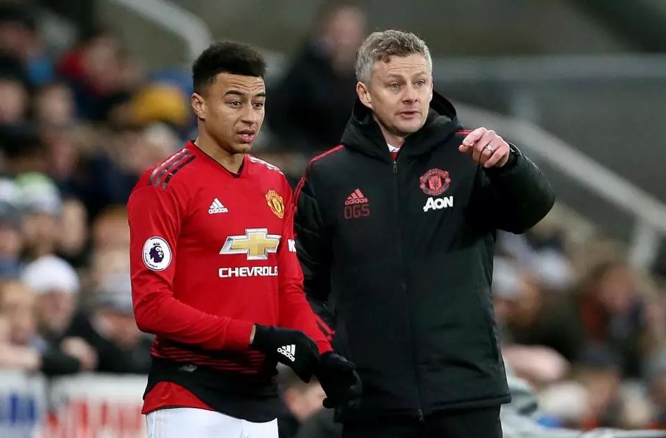 球迷需要理 球迷需要理